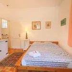 Les Ondes Vi4120 주앙레핑